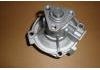 Водяная помпа Water Pump:21011307010