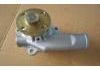 Water Pump:417-1307010