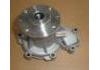 Water Pump:6022000020