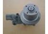 Water Pump:41313201