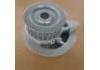 Water Pump:1334017