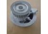 Water Pump:1334054